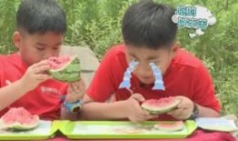 小鬼现场吃瓜,揭秘娱乐圈幕后真相