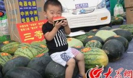 吃瓜吃疯,揭秘娱乐圈背后的疯狂故事