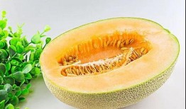 儿童夏天吃太多瓜