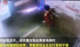 厦门砍人吃瓜事件始末,悲剧发生背后的真相与反思