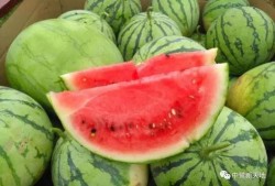 在爹吃瓜,揭秘娱乐圈背后的那些事儿