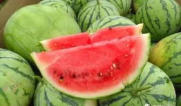 在爹吃瓜,揭秘娱乐圈背后的那些事儿