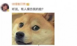 旺柴 吃瓜,揭秘娱乐圈幕后故事
