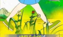 吃瓜儿歌红黄蓝,揭秘色彩背后的趣味故事