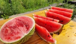 美区留学吃瓜,留学生活中的“吃瓜”瞬间