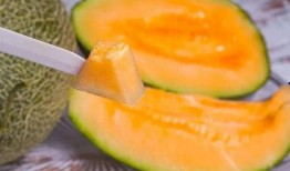 蜜瓜孩子可以吃吗,孩子可以放心食用的夏日美味