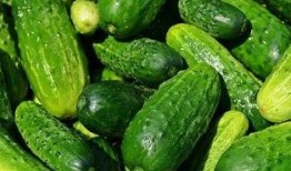 小亦不亦吃瓜,吃瓜群众的趣味生活