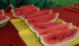 刘大瓜吃脆肠,脆肠大作战