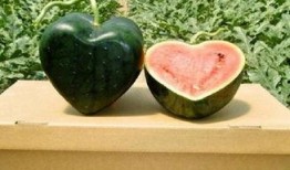 吃瓜网友小叶,揭秘娱乐圈那些不为人知的幕后故事