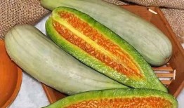 网纹瓜和羊角蜜能一起吃,美味碰撞，健康共享的夏日佳选