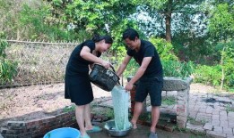 广西老婆摘瓜吃,一场别开生面的田园生活体验