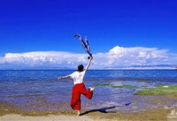 吃瓜看星星,揭秘娱乐圈背后的故事与真相