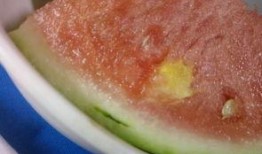 面瓜坏了吃有毒吗