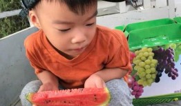 吃瓜甜搞笑,揭秘娱乐圈那些让人捧腹大笑的幕后故事