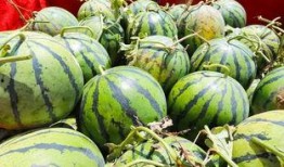 平城桥吃瓜人,见证人间烟火与吃瓜人生