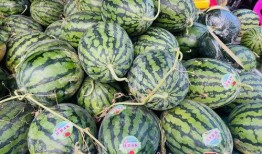 南宁吃瓜,一瓜未平，一瓜又起，揭秘南宁吃瓜文化