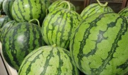 直播顶流吃瓜,揭秘娱乐圈幕后风云