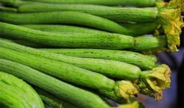 瓜蛇肉可以吃吗,可食用之谜，揭秘其营养价值与食用方法