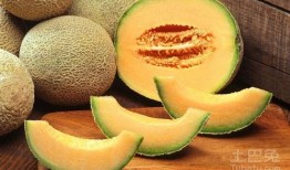 吃哈密瓜应不应该吃籽瓜,食用选择与营养考量