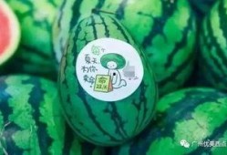 ccggct吃瓜网最新,揭秘娱乐圈最新热点事件