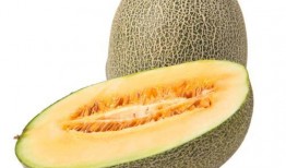 嘴吃哈密瓜,嘴吃哈密瓜的味蕾之旅