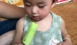 乖乖崽吃瓜,揭秘娱乐圈幕后故事